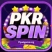 PKR-SPIN-Game-2-150×150