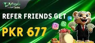 TY777 Game (Free Earning Casino App in Pakistan) for Real Money 3 image 1